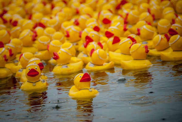 Big Brothers Big Sisters 23rd Annual Duck Race, Rocketts Landing, Richmond Virginia