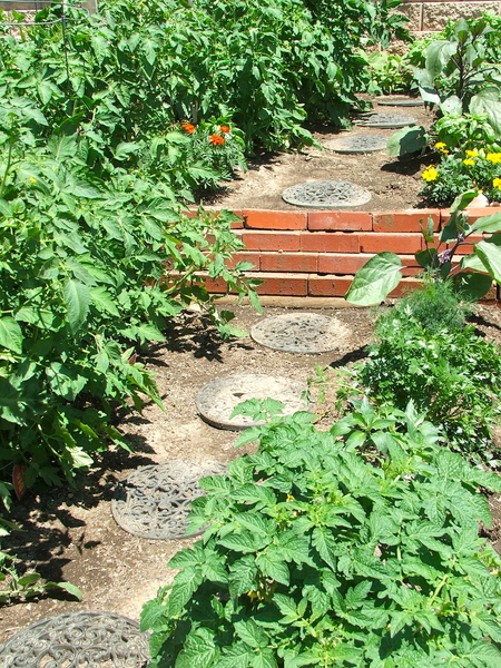 Rocketts Landing Community Garden, Richmond, Virginia