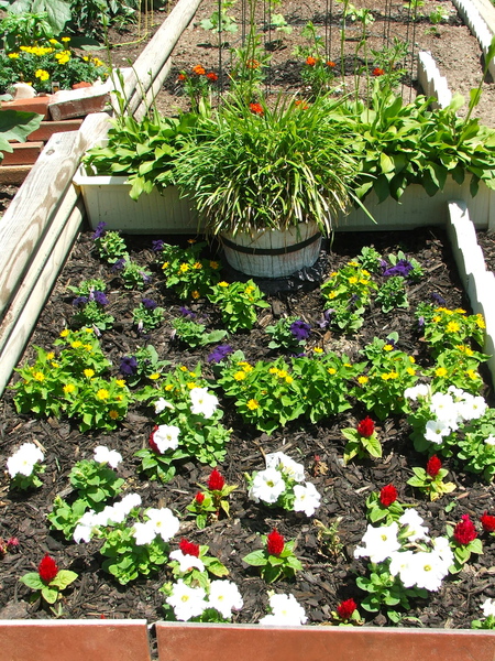 Rocketts Landing Community Garden, Richmond, Virginia