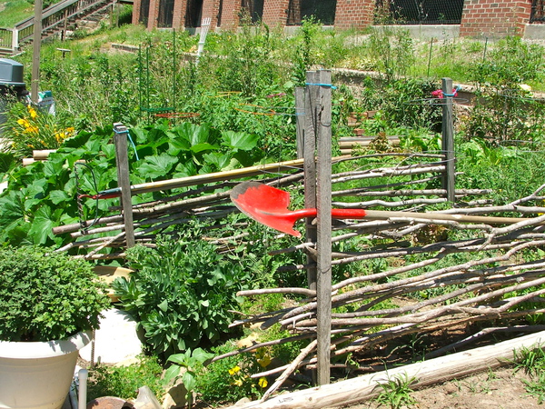 Rocketts Landing Community Garden, Richmond, Virginia